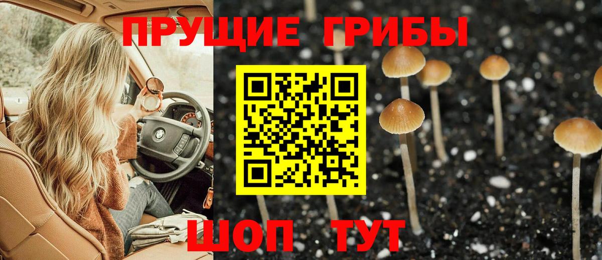 Галлюциногенные грибы мухоморы  Псилоцибиновые грибы Psilocybine cubensis  Карасук  Вход с VPN 